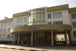 Гимназисты выбирали Президента