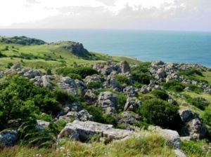 В Ленинском районе выделили землю под заповедник, который предложил создать Владимир Путин