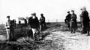 Своя земля - Николай Иванович Парельский