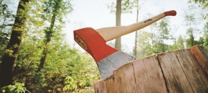 Полиция предупреждает:  За вырубку деревьев можно заплатить штраф до 500 тысяч рублей или получить  до 2 лет  лишения свободы