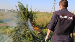 ОМВД России по Ленинскому району напоминает, что на территории Российской Федерации проводится операция « Мак-2016», которая продлится до 30 сентября текущего года