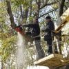 В Симферополе вынесли приговор "зеленым легким"