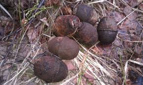 Полицейские Ленинского района выявили факт незаконного хранения боеприпаса времен ВОВ