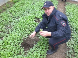 Полицейские Ленинского района обнаружили у селянина марихуану