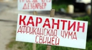 В Ленинском районе отменили карантин, связанный с чумой свиней