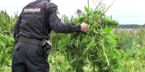 В Ленинском районе стартовала операция "Мак-2017"