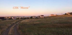 Создан сайт СПК "МАЯК" с. Семеновка, Ленинский район, Республика Крым
