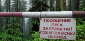 «Внимание! Введено ограничение на посещение лесов»