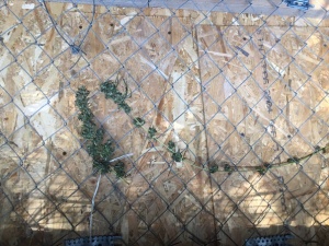 В Ленинском районе мужчина хранил наркотики в качестве «лекарства от мигрени»