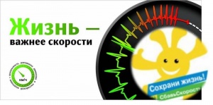 Госавтоинспекция Ленинского района проведёт день снижения скорости