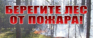 Внимание! Введён режим ограничения пребывания граждан в лесах