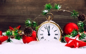 С наступающим Новым годом!!!!