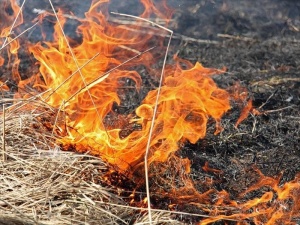 Начало пожароопасного сезона 2019 года