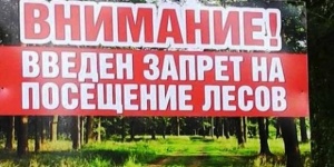 Внимание! Введён режим ограничения пребывания граждан в лесах!