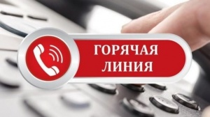 Горячая линия по консультированию граждан по вопросам качества и безопасности детских товаров, выбора новогодних подарков