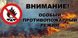 Внимание! Особый противопожарный режим!