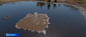 Крымский Техас: в Ленинском районе из-под земли вытекает нефть