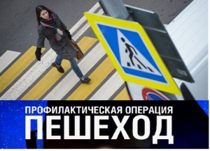 ГИБДД ПРОВОДИТ ДЕКАДУ  БЕЗОПАСНОСТИ ПЕШЕХОДОВ