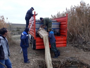 Проведен первый этап зарыбления водохранилища Юзмак в селе Ленинское Ленинского района