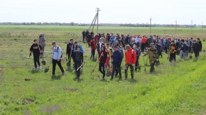 В Ленинском районе прошла экологическая акция по высадке саженцев деревьев
