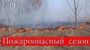 ​ВНИМАНИЕ!!! Старокрымское лесничество ГКУ РК «Юго-восточное объединённое лесничество» информирует.