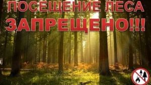​ «Внимание!!! Ограничено пребывание граждан в лесах»