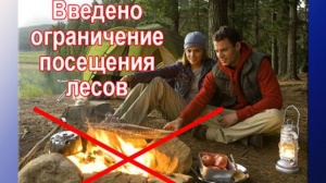 ​«Внимание!!! Ограничено пребывание граждан в лесах»