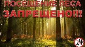 Внимание!!! Ограничено пребывание граждан в лесах