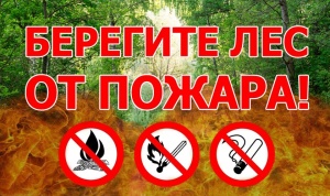 «Внимание!!! Ограничено пребывание граждан в лесах»