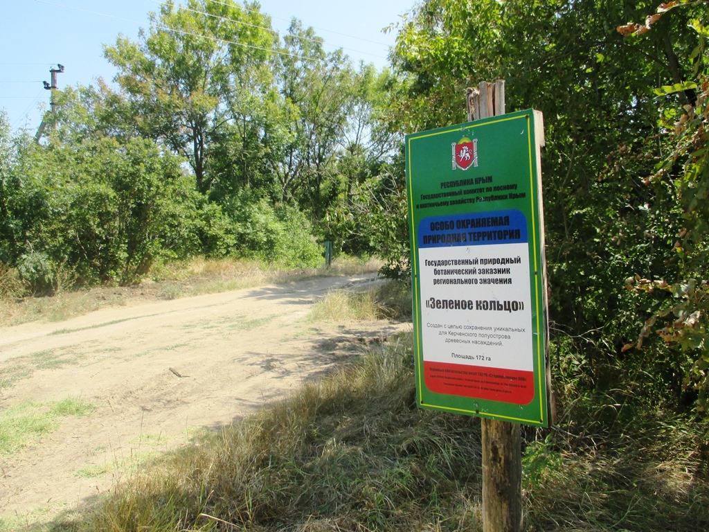 Заместитель Главы Администрации проверил лесные насаждения на предмет проведения их опашки