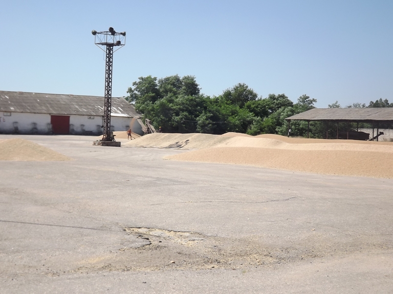  сельхозпредприятия Ленинского района