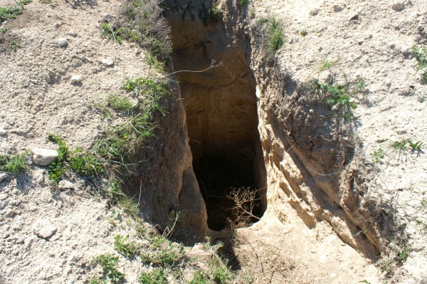 Городище Сиреневая бухта