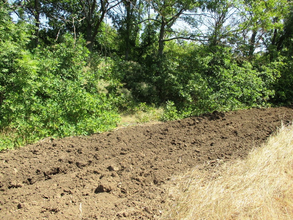 Заместитель Главы Администрации проверил лесные насаждения на предмет проведения их опашки