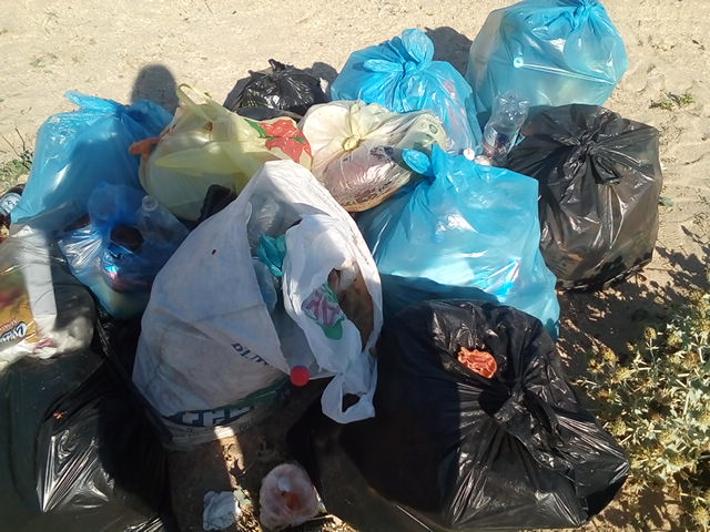 Администрация Ленинского района приняла участие в субботнике в рамках акции «Сделаем Крым чистым