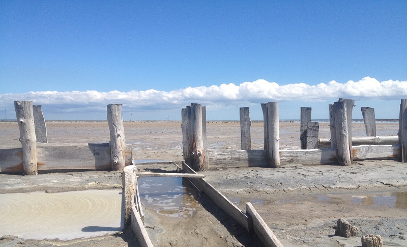 Соляное Ленинский район, Крым, Россия