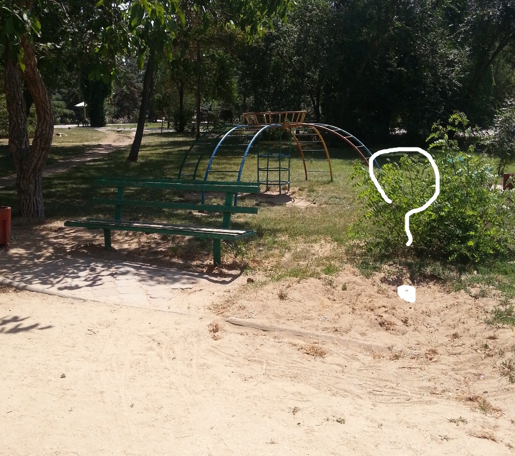 В каком обществе мы живем... 