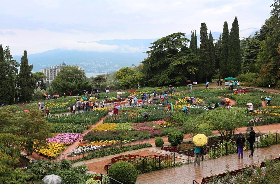 Бал хризантем в Крыму