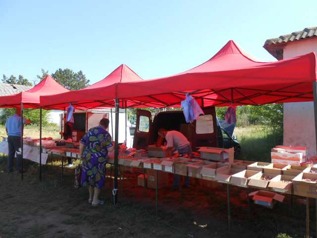 Александр Мачусский осуществил рабочий выезд в село Песочное Ленинского района