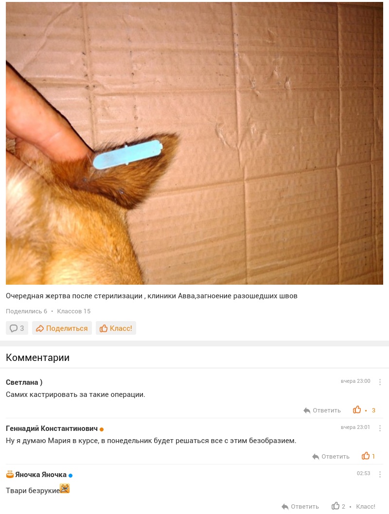 Сотрудники Обособленного Подразделения в Ленинском районе "Конгресс МИР", Обратились в Совет Министров Республики Крым ,Остановить Смертельную Стерилизацию Животных в районе и Наказать Виновных