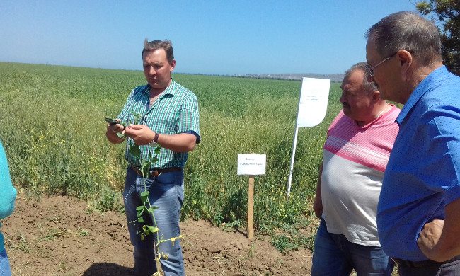 В Администрации Ленинского района прошло районное предуборочное совещание «День поля»