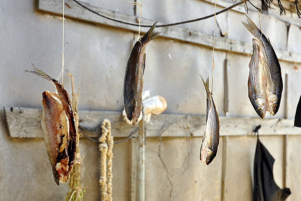 Рыба вялится в рыбацкой лачуге. Элина Мятыга / «Русская планета»