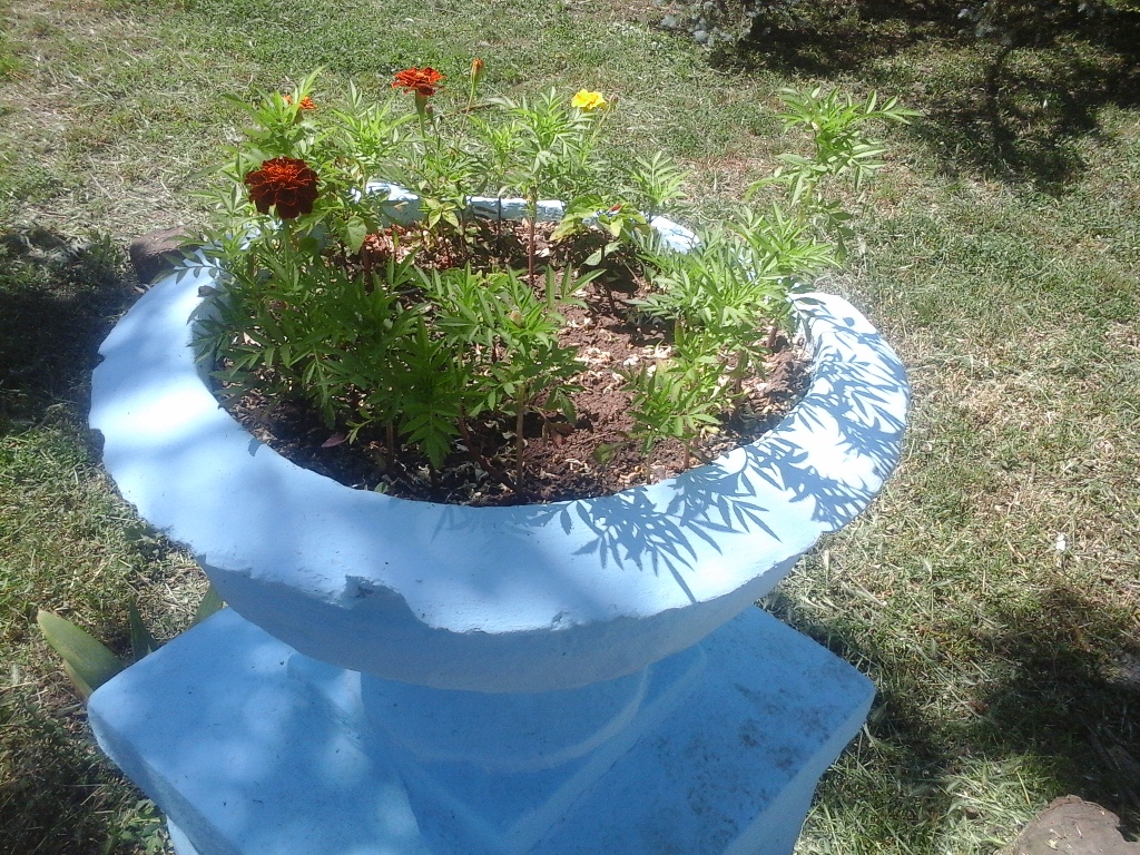 Не дай цветам засохнуть