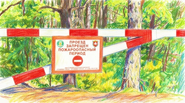В Крыму — ограничения в лесах: что нужно знать жителям и гостям полуострова