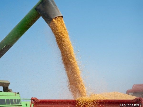 Крымские хлеборобы намолотили первый млн. тонн зерна