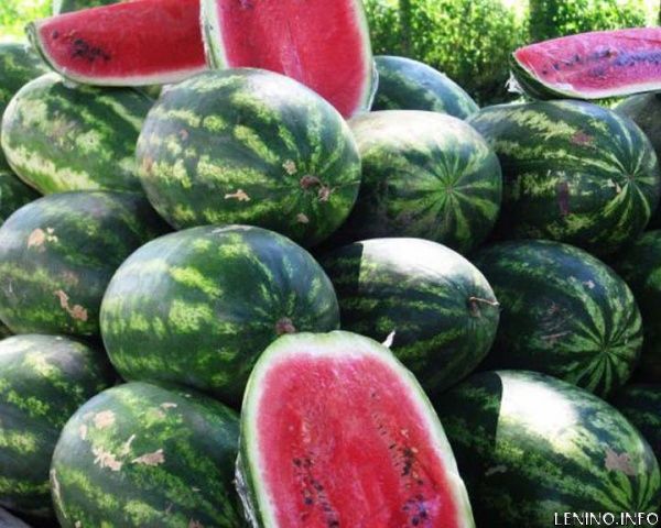 25 августа в Крыму устроят арбузный праздник
