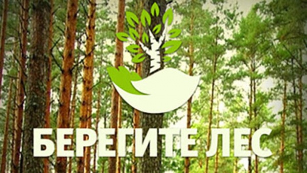 ​Берегите лес