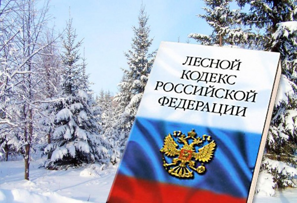 Убедительно просим соблюдать лесное законодательство!