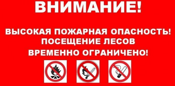 Ограничено пребывание граждан в лесах