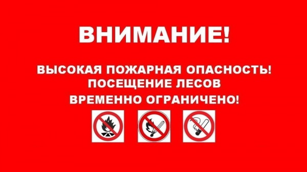 Внимание!!! Ограничено пребывание граждан в лесах