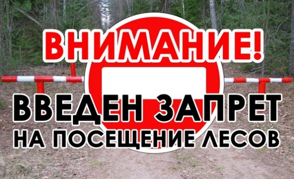 Внимание!!! Ограничено пребывание граждан в лесах